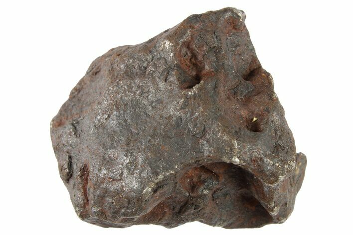 Canyon Diablo Iron Meteorite ( g) - Arizona #262844